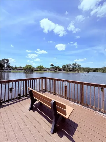 129 Camphor Circle Oldsmar FL 34677