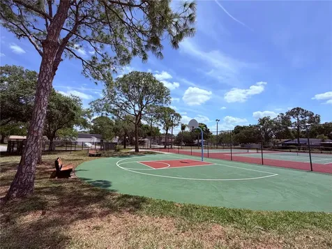 129 Camphor Circle Oldsmar FL 34677