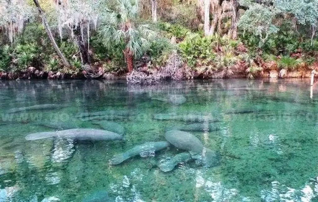 1 Werley Trail Deland FL 32720