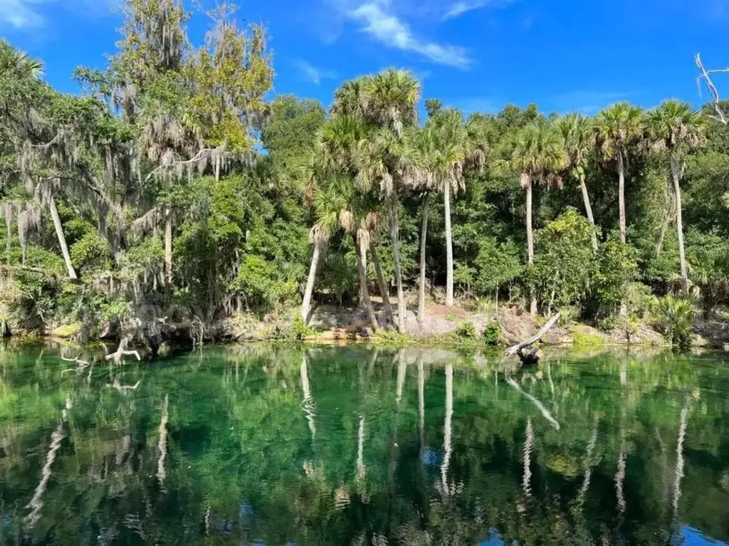 1 Werley Trail Deland FL 32720