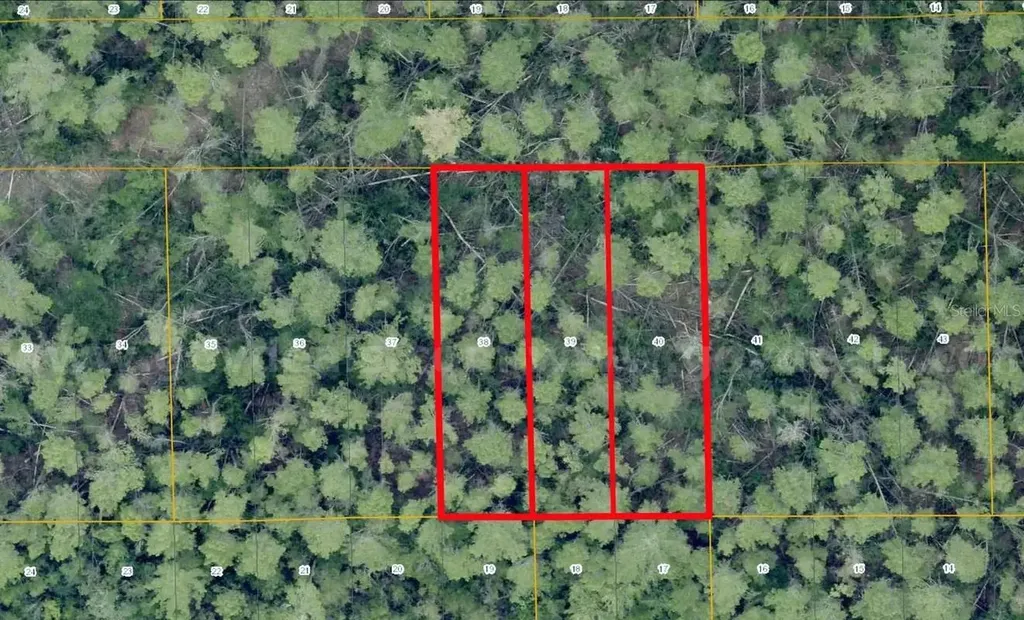 1 Werley Trail Deland FL 32720