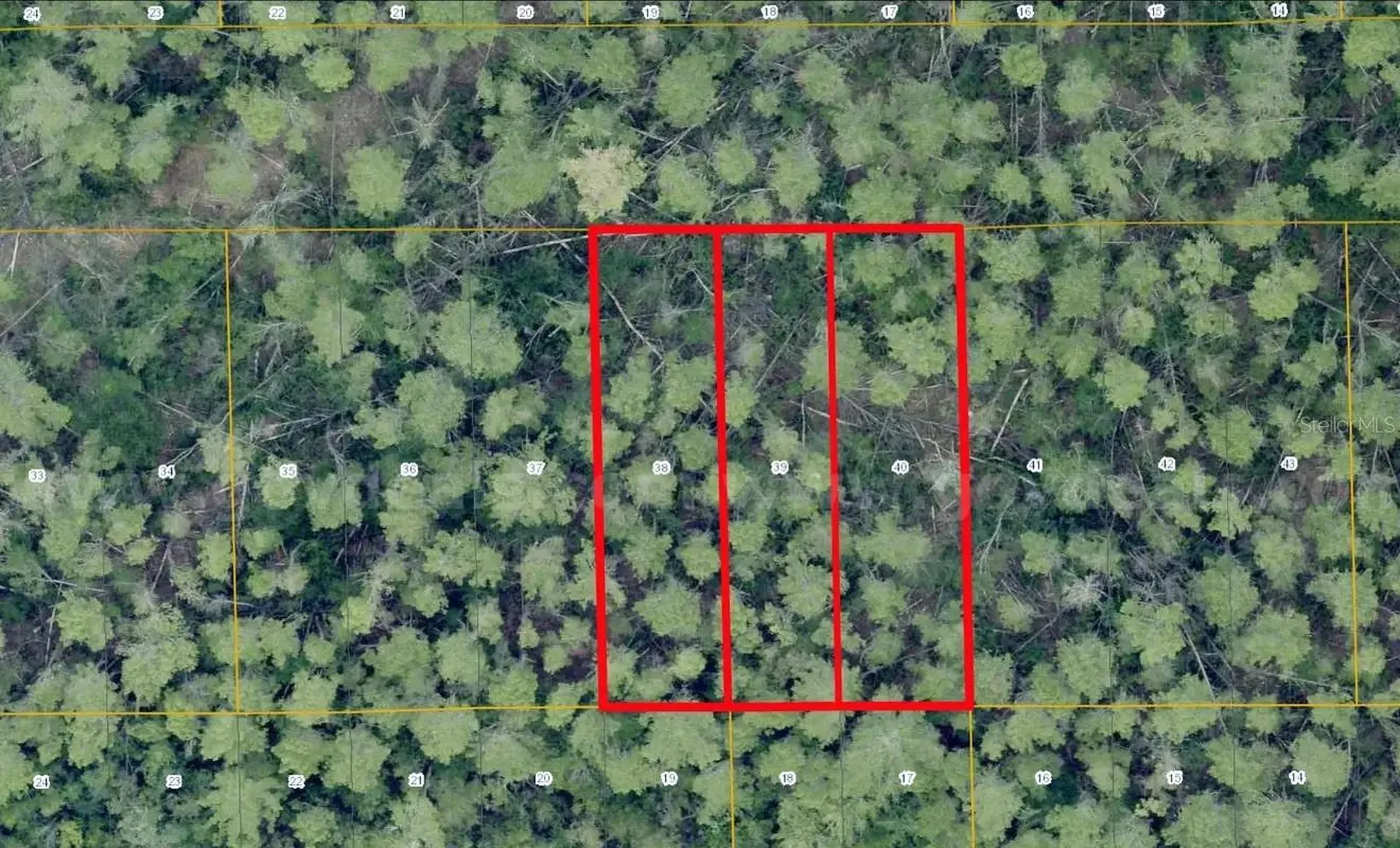 1 Werley Trail Deland FL 32720