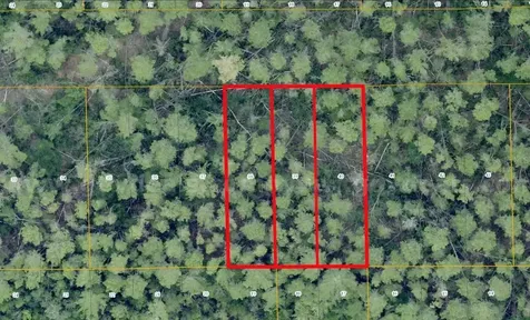 1 Werley Trail Deland FL 32720