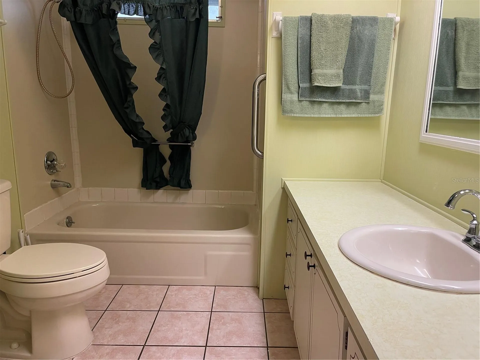 2 Grove Trail Wildwood FL 34785