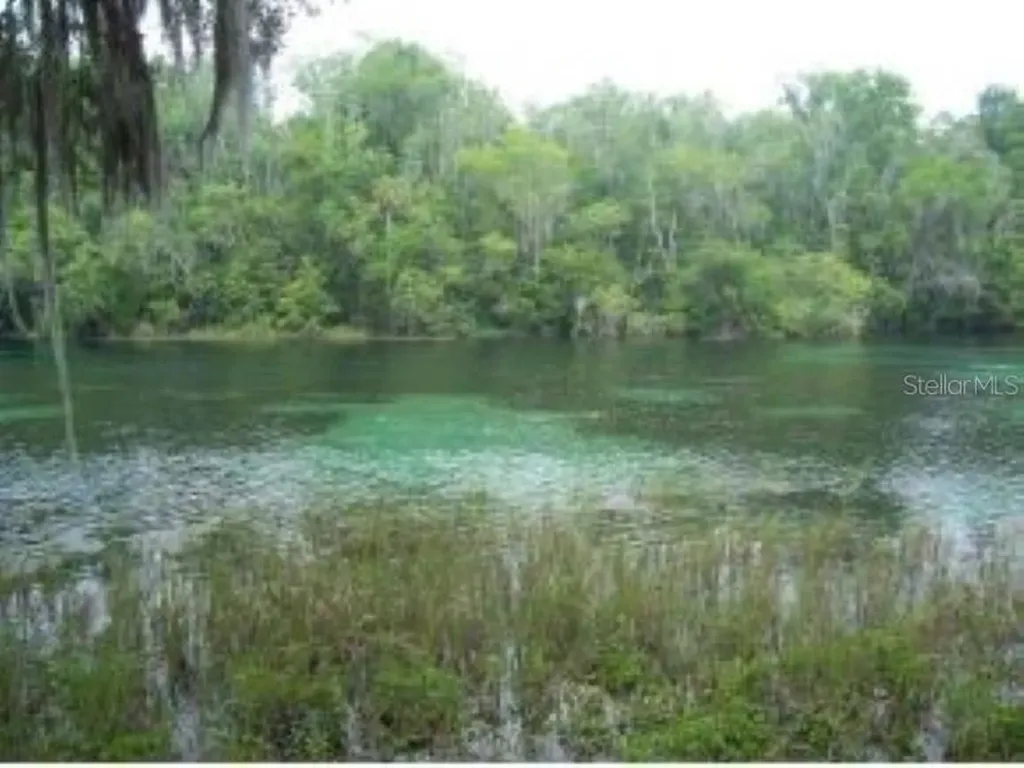 8710 SW 190th Circle Dunnellon FL 34432