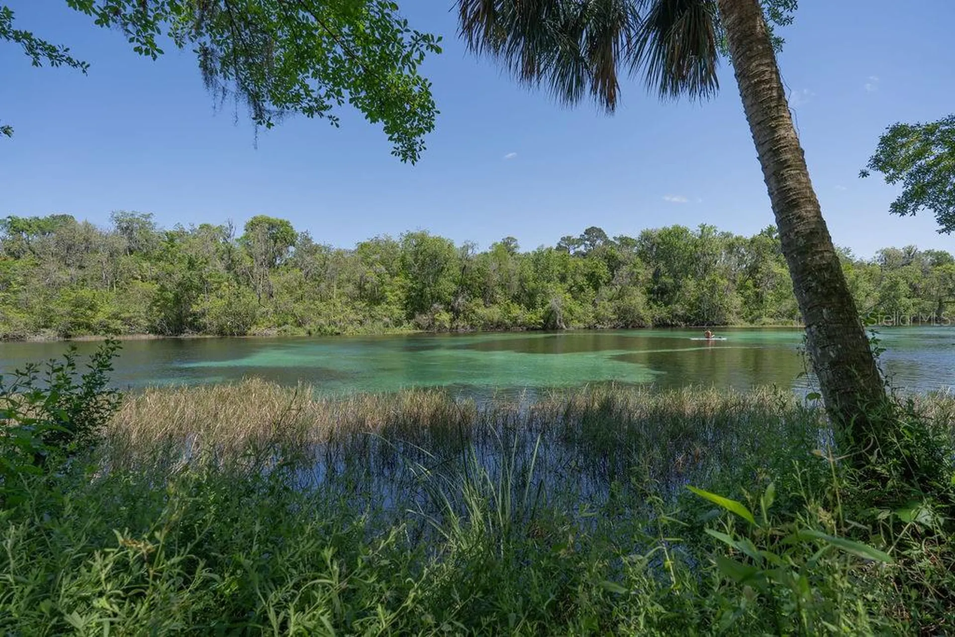 8710 SW 190th Circle Dunnellon FL 34432