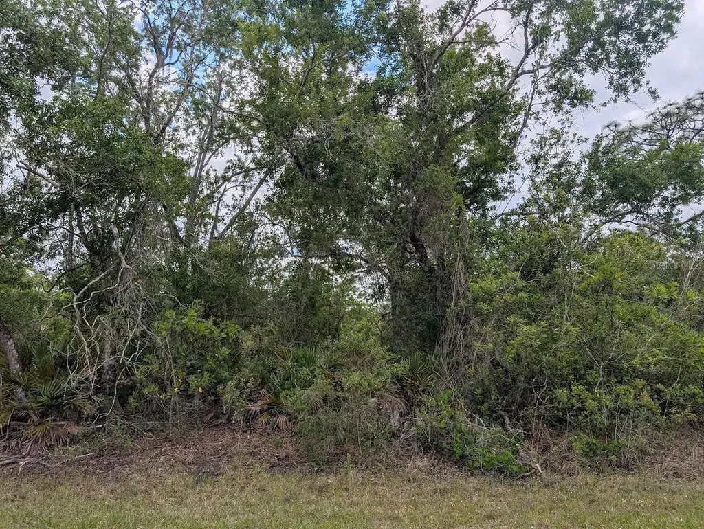 1009 Azalea Drive Indian Lake Estates FL 33855