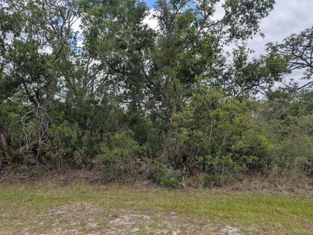 1009 Azalea Drive Indian Lake Estates FL 33855