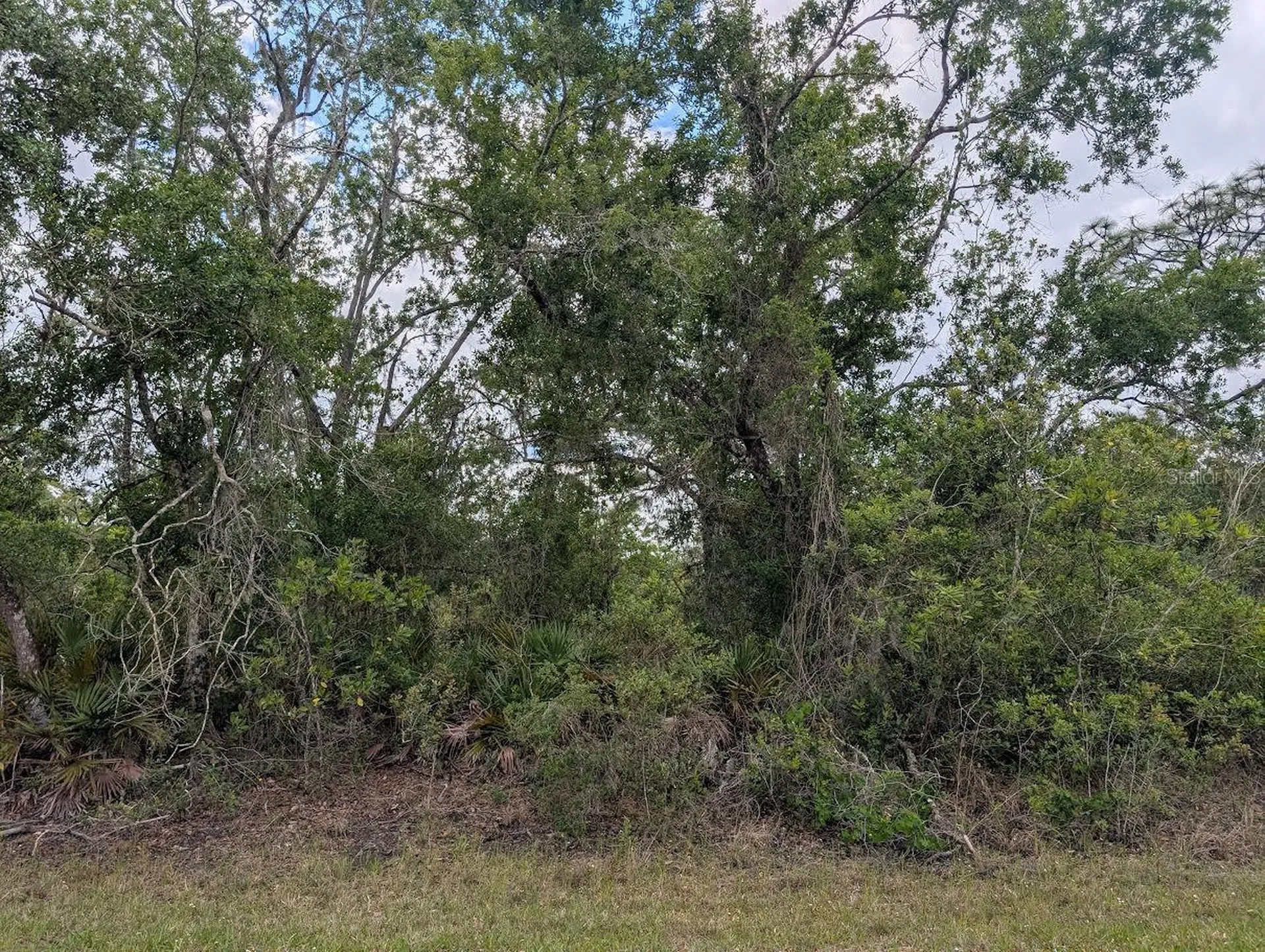 1009 Azalea Drive Indian Lake Estates FL 33855