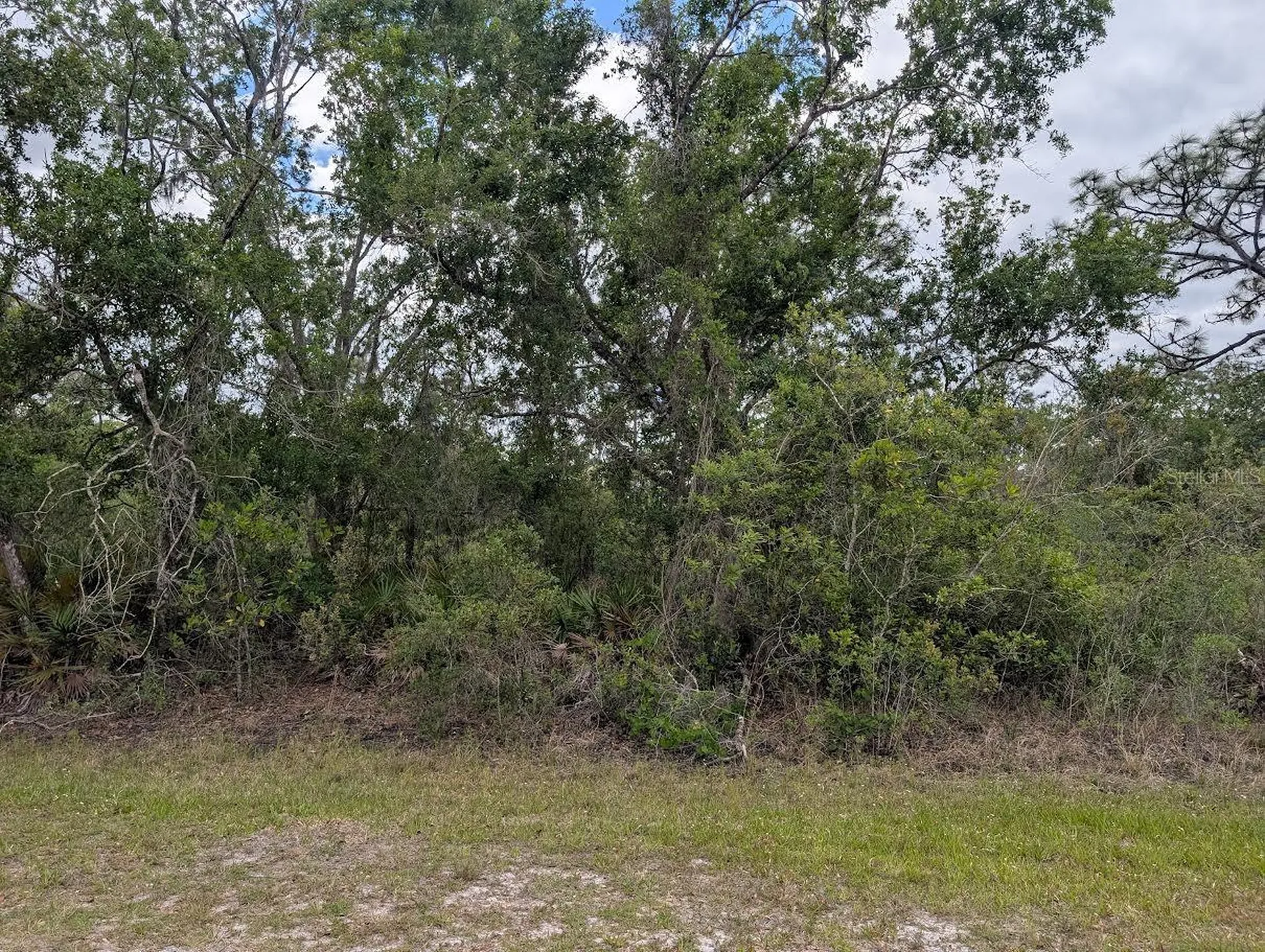 1009 Azalea Drive Indian Lake Estates FL 33855