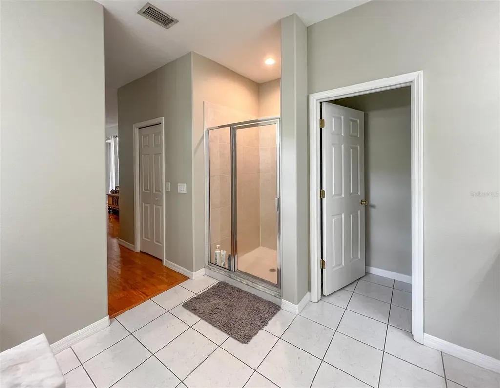 9046 Shenandoah Run Wesley Chapel FL 33544