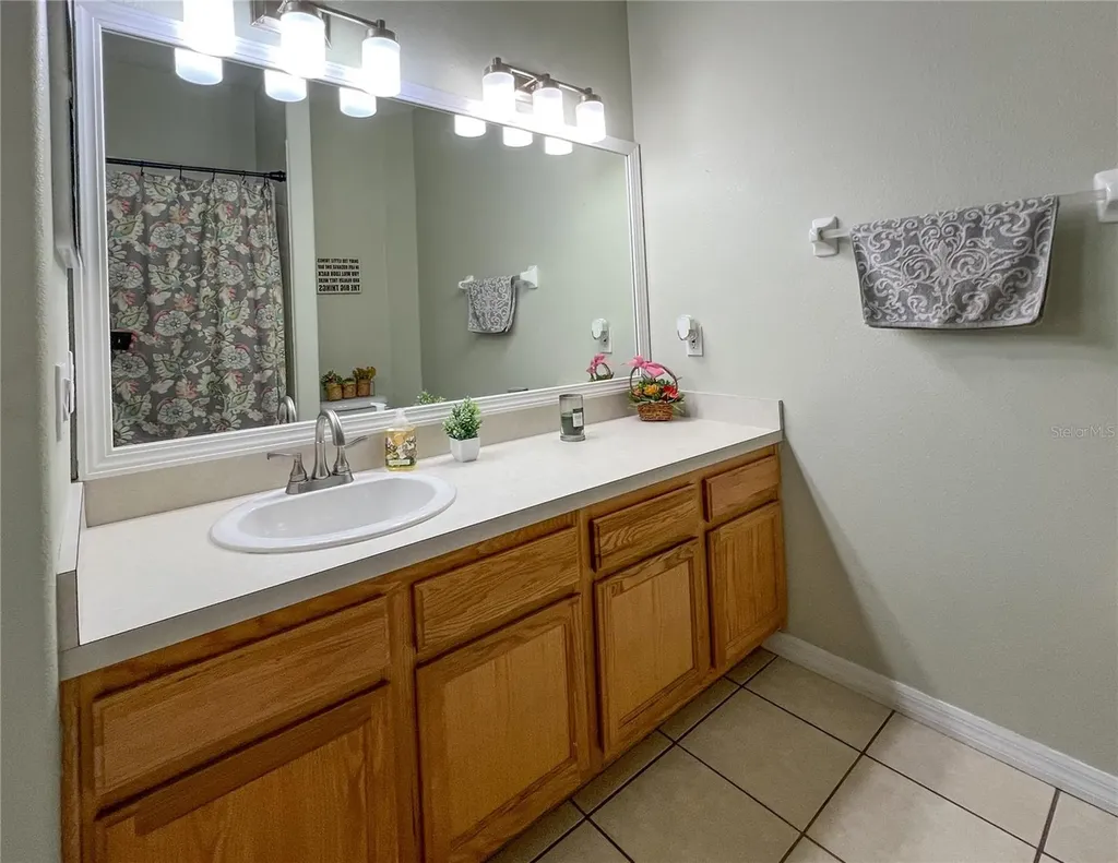 9046 Shenandoah Run Wesley Chapel FL 33544