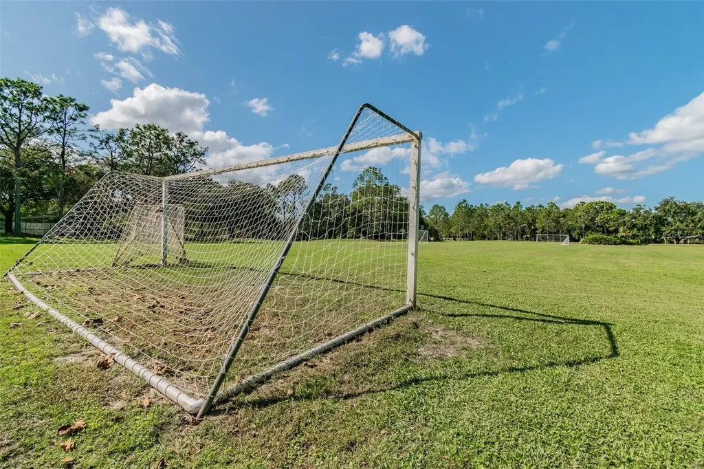 9481 Highland Oak Drive Tampa FL 33647