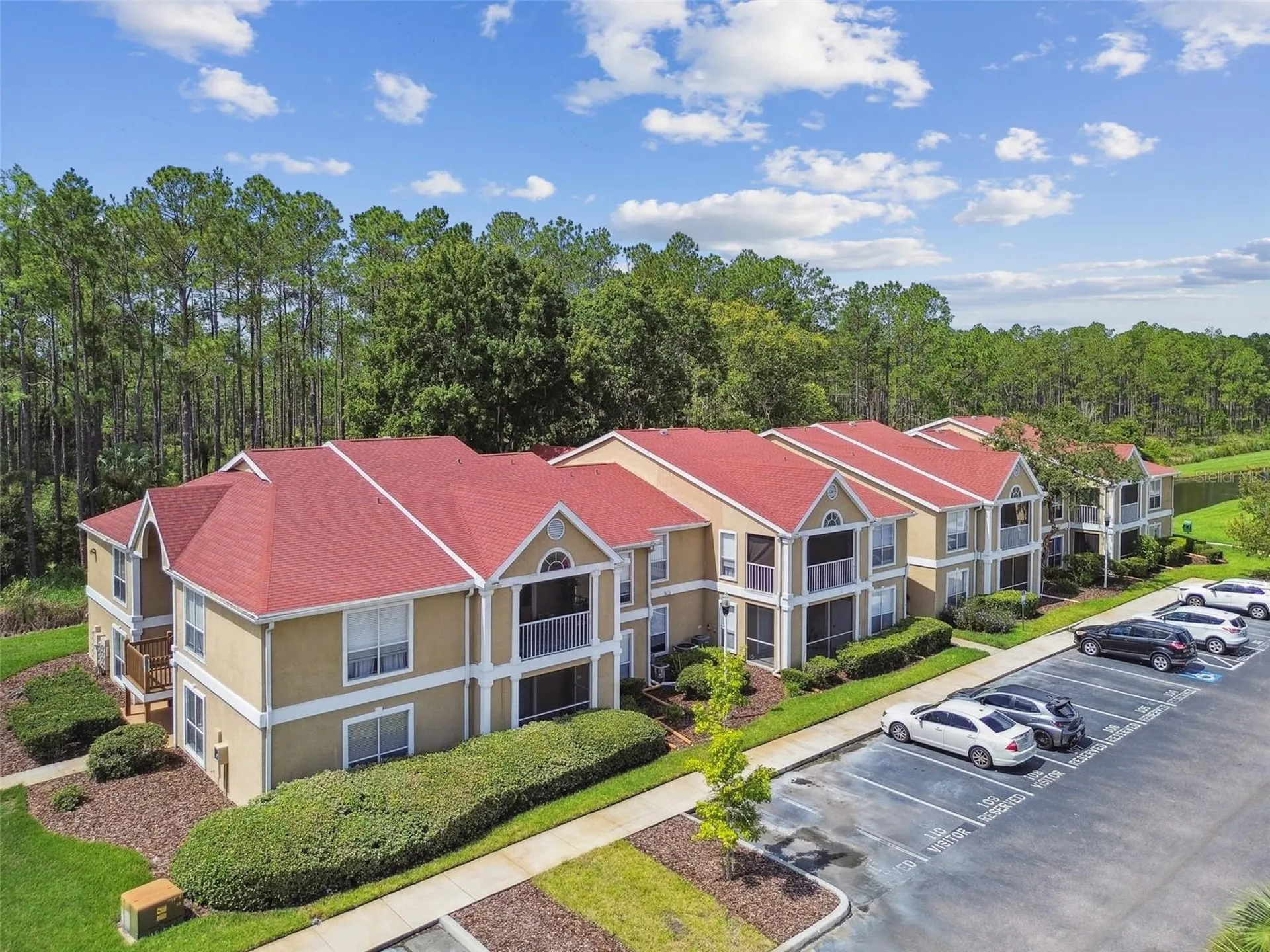 9481 Highland Oak Drive Tampa FL 33647