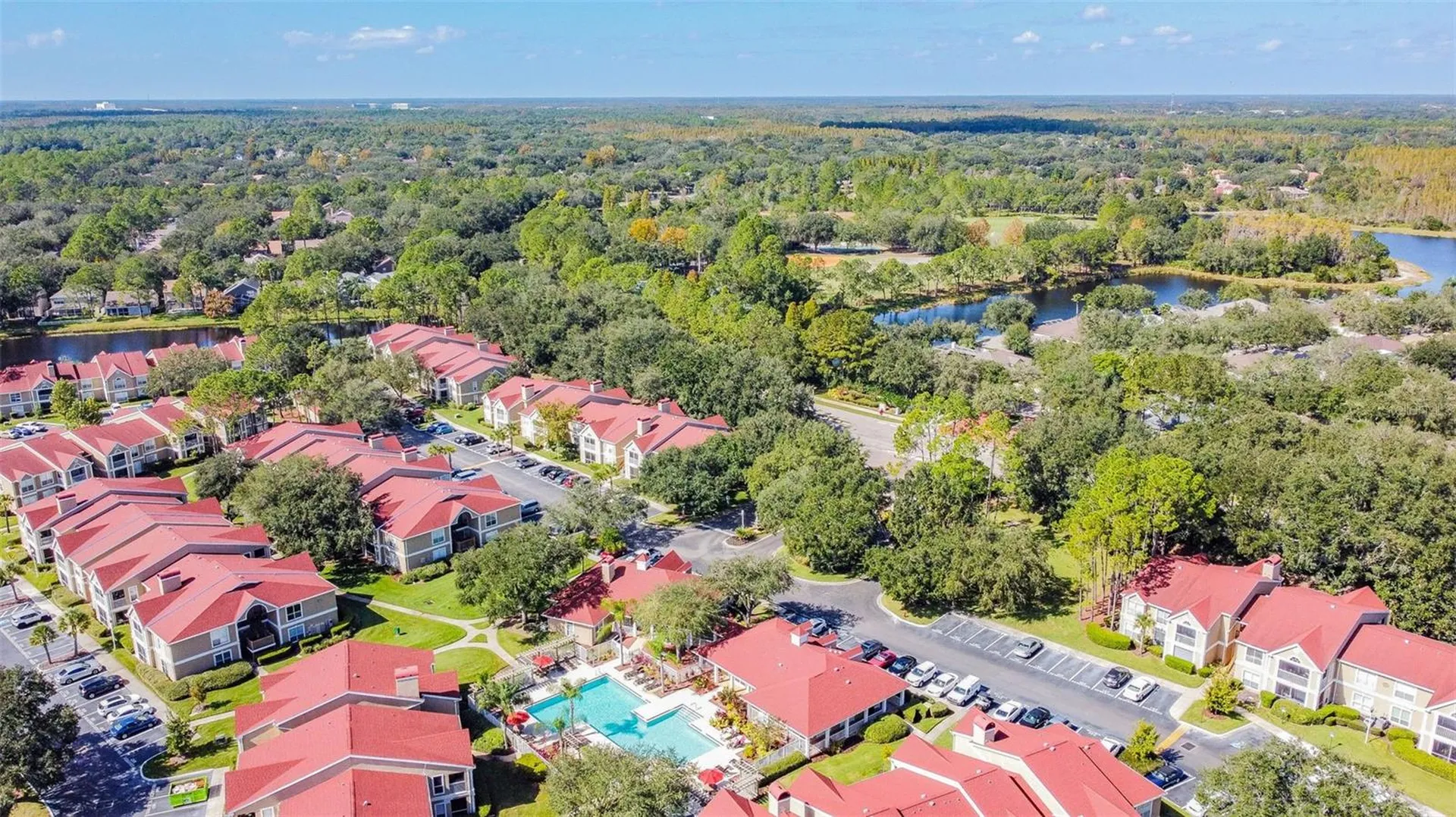9481 Highland Oak Drive Tampa FL 33647