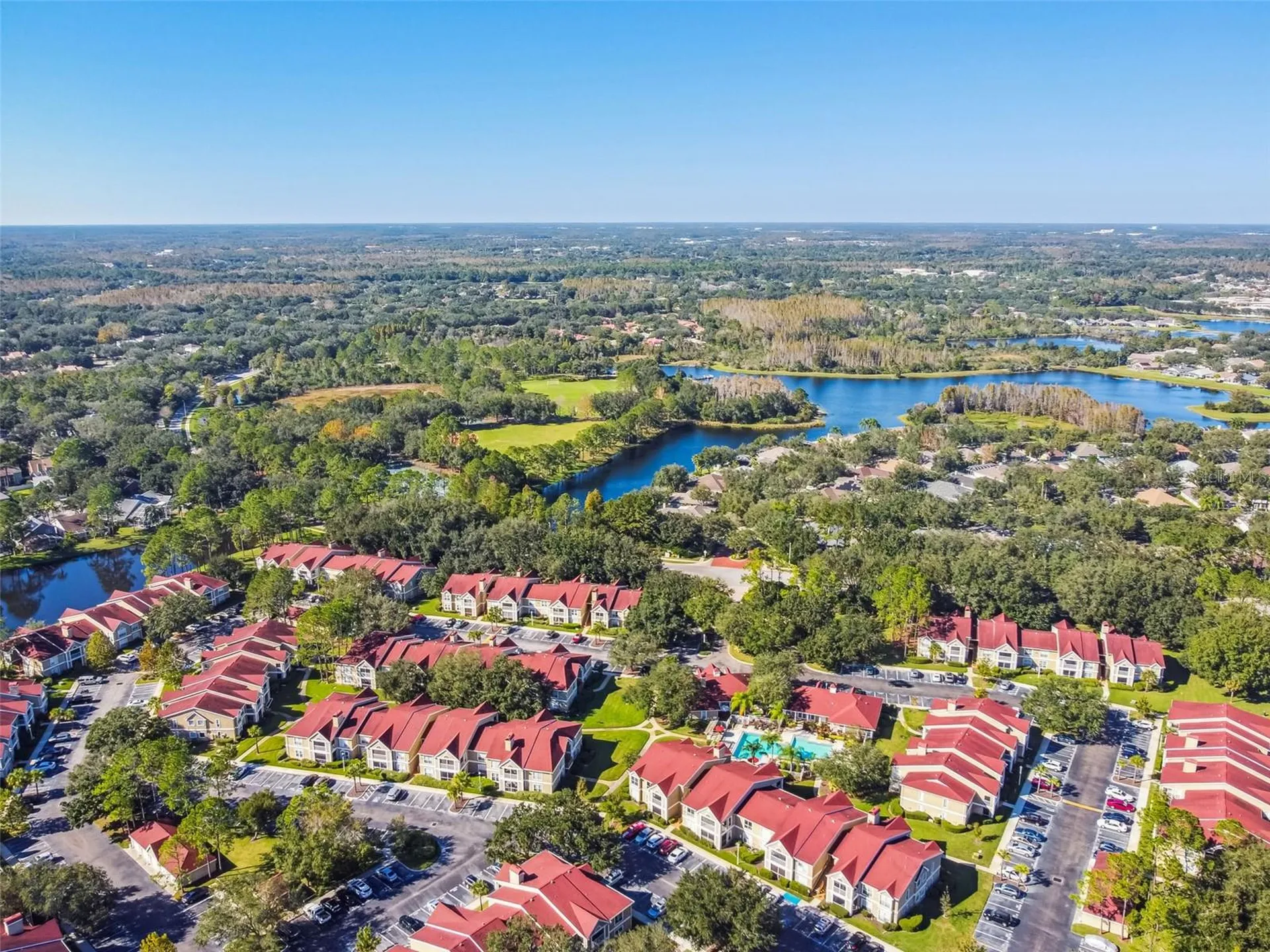 9481 Highland Oak Drive Tampa FL 33647