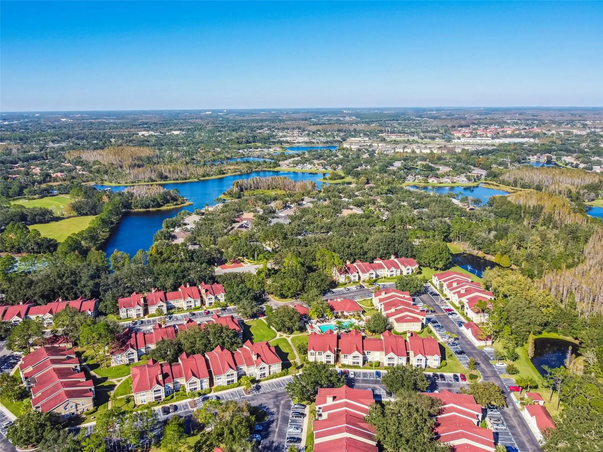 9481 Highland Oak Drive Tampa FL 33647