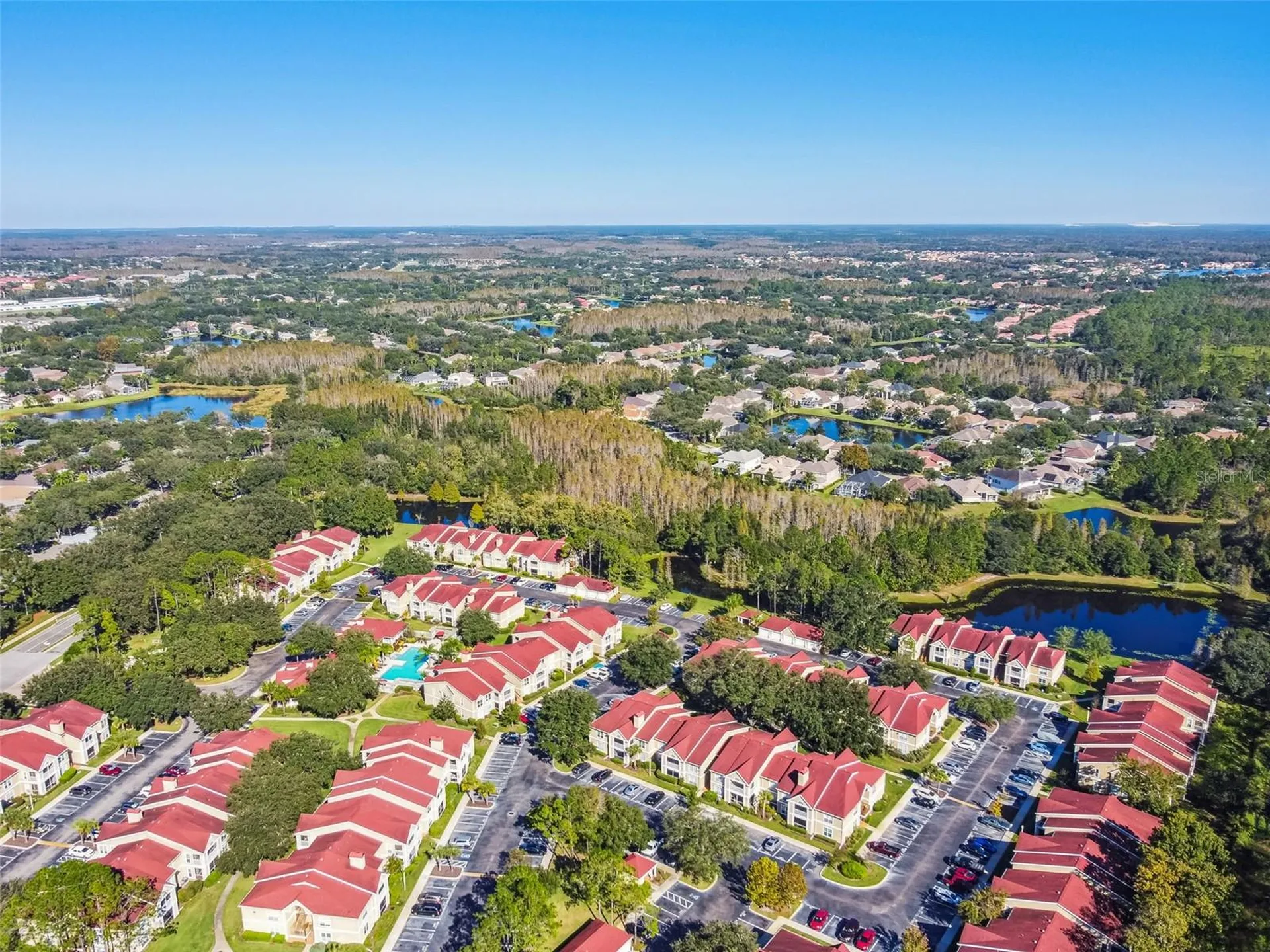 9481 Highland Oak Drive Tampa FL 33647