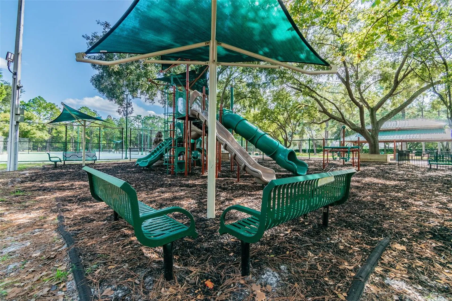 9481 Highland Oak Drive Tampa FL 33647