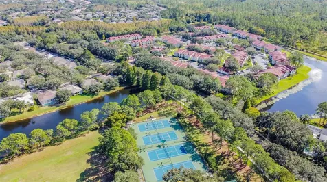 9481 Highland Oak Drive Tampa FL 33647