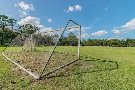 9481 Highland Oak Drive Tampa FL 33647