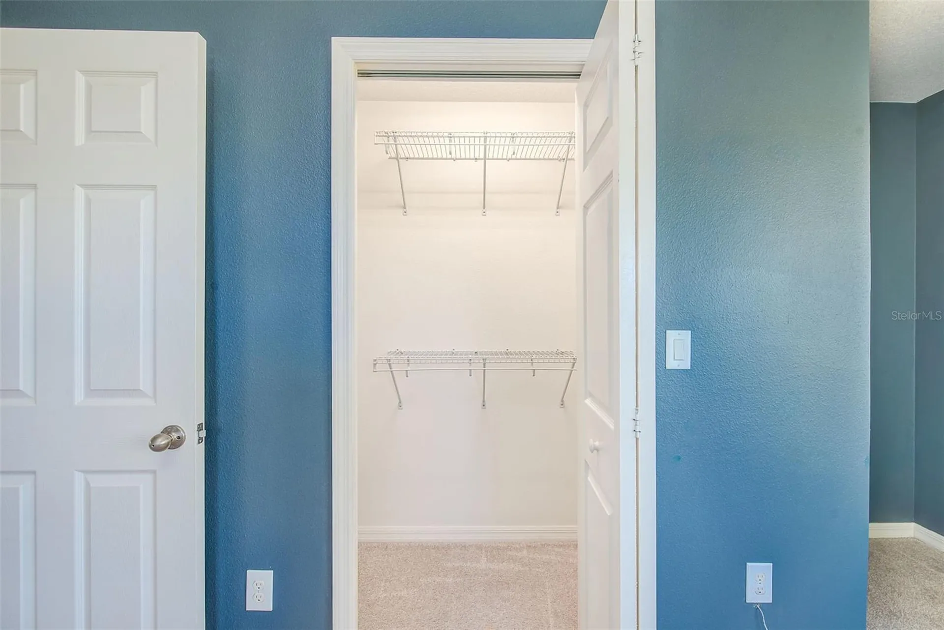 6905 Towering Spruce Drive Riverview FL 33578