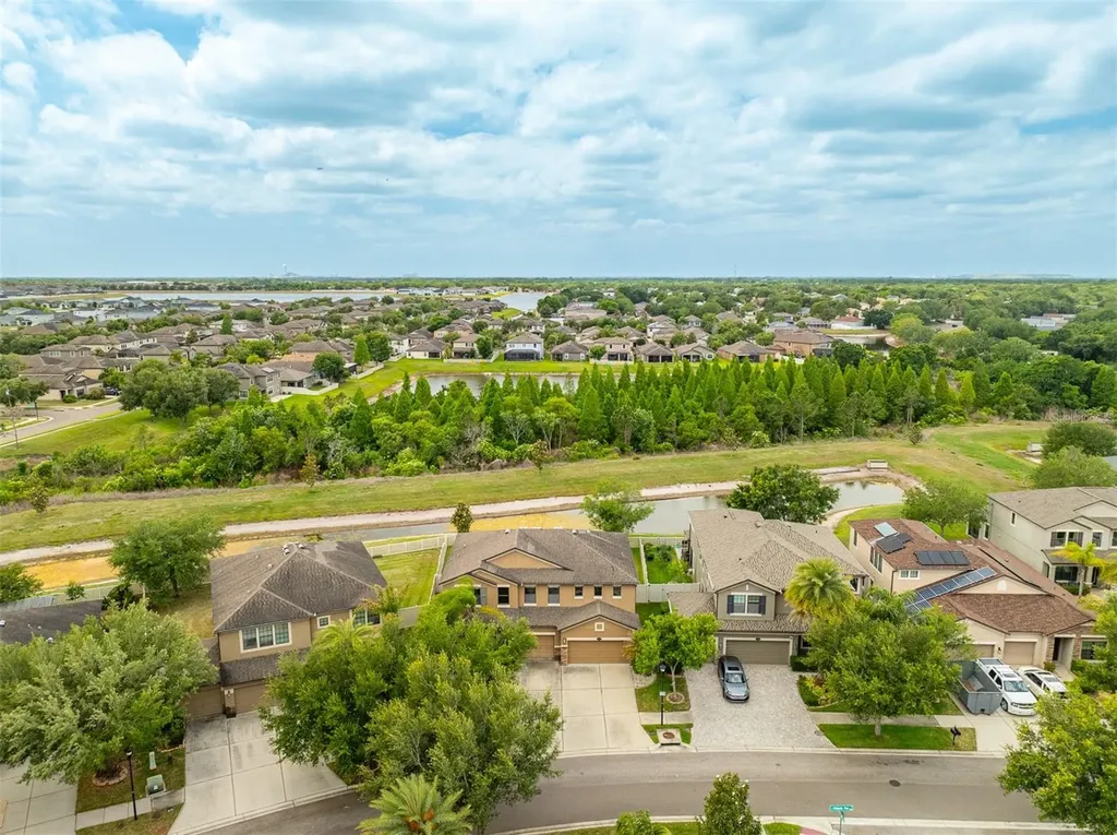 11511 Palmetto Pine Street Riverview FL 33569