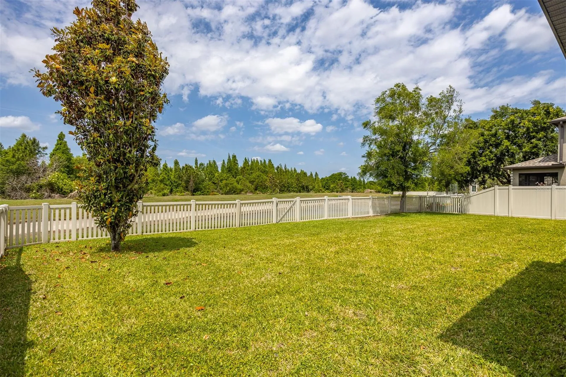 11511 Palmetto Pine Street Riverview FL 33569