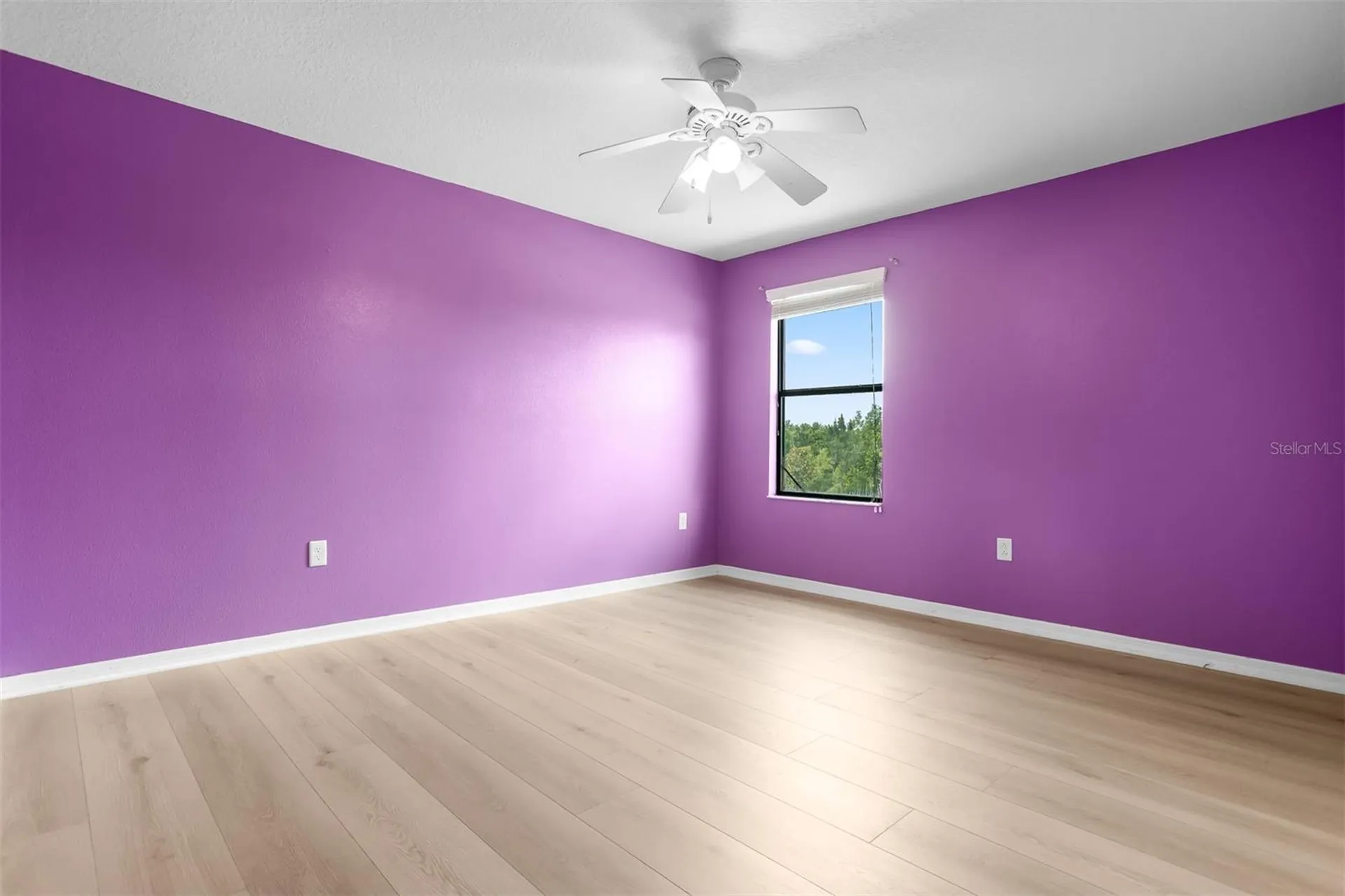11511 Palmetto Pine Street Riverview FL 33569
