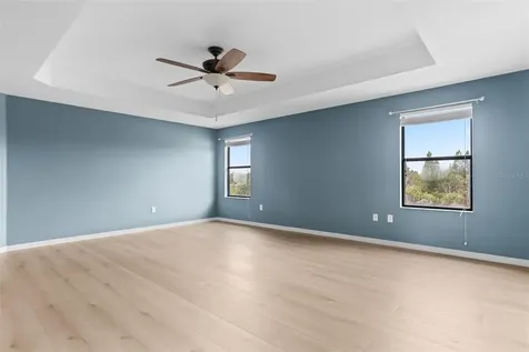 11511 Palmetto Pine Street Riverview FL 33569