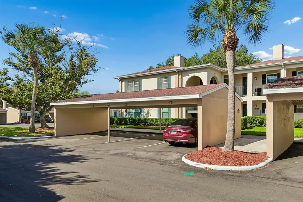 10340 Carrollwood Lane Tampa FL 33618