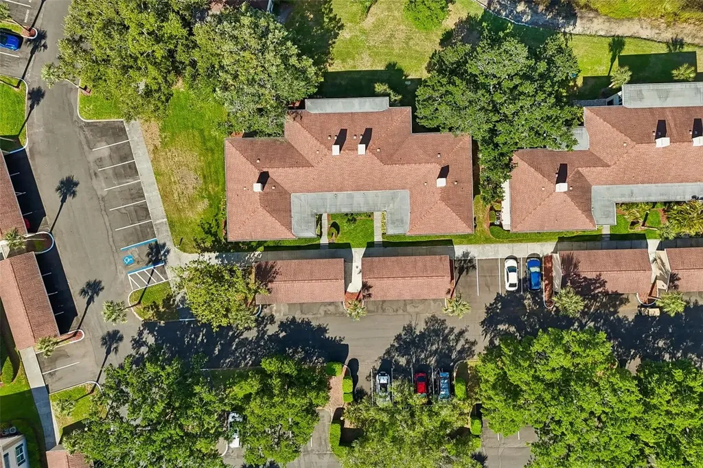 10340 Carrollwood Lane Tampa FL 33618