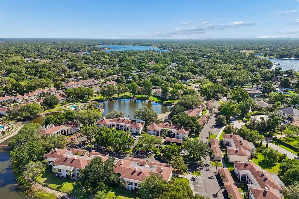 10340 Carrollwood Lane Tampa FL 33618