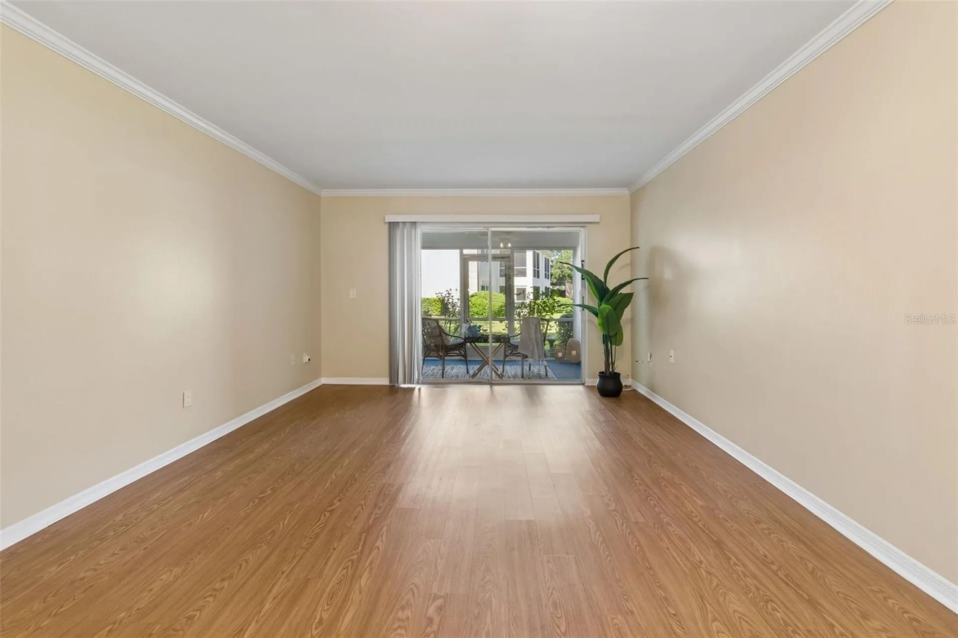 10340 Carrollwood Lane Tampa FL 33618