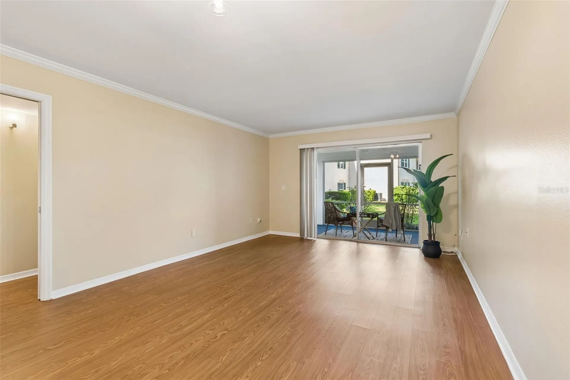 10340 Carrollwood Lane Tampa FL 33618