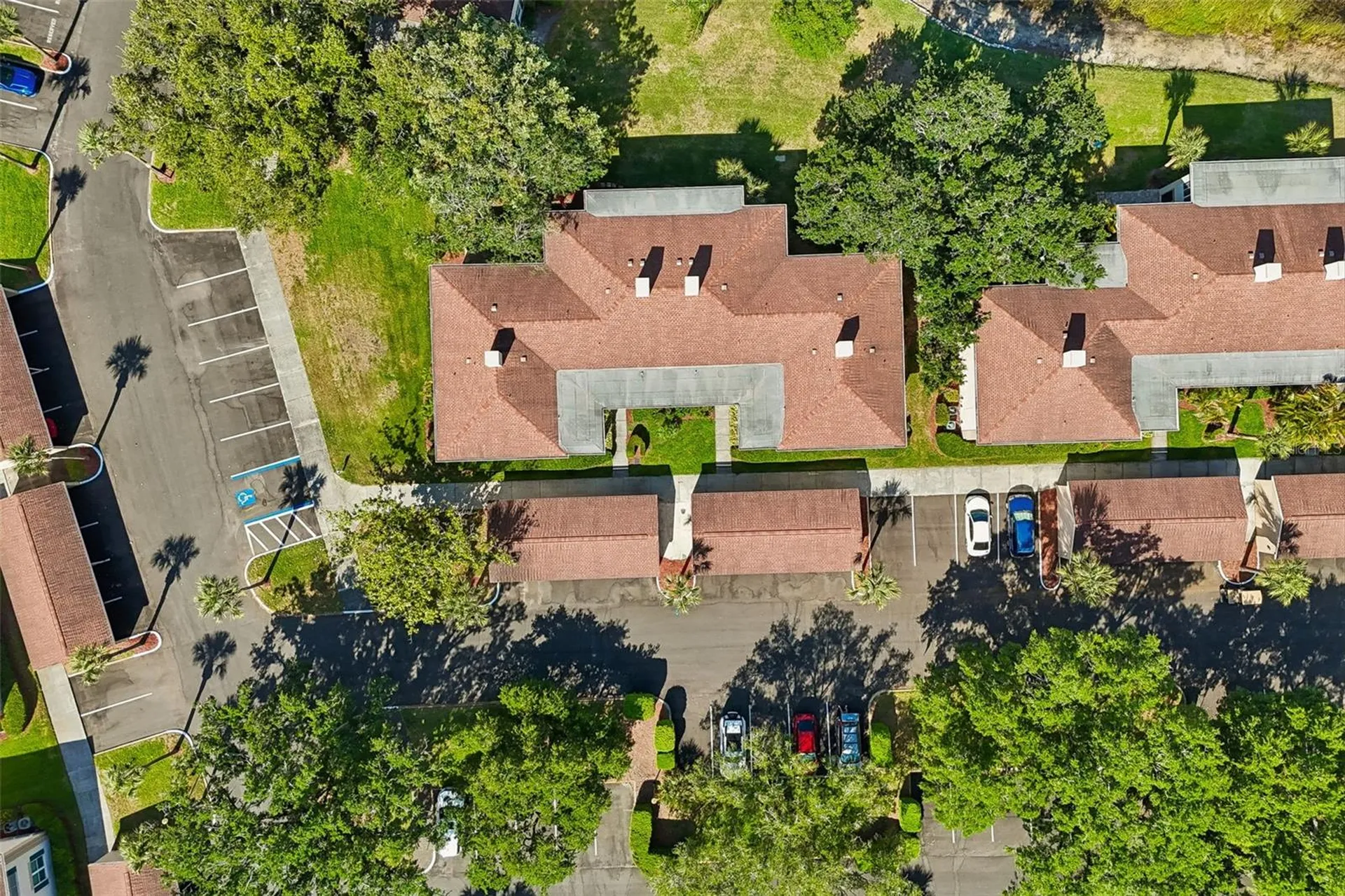 10340 Carrollwood Lane Tampa FL 33618