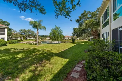10340 Carrollwood Lane Tampa FL 33618