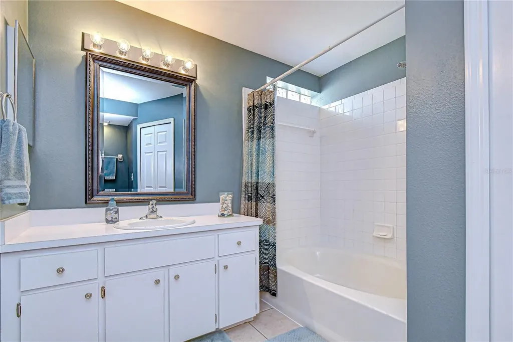 707 Orchard Isle Court Valrico FL 33594