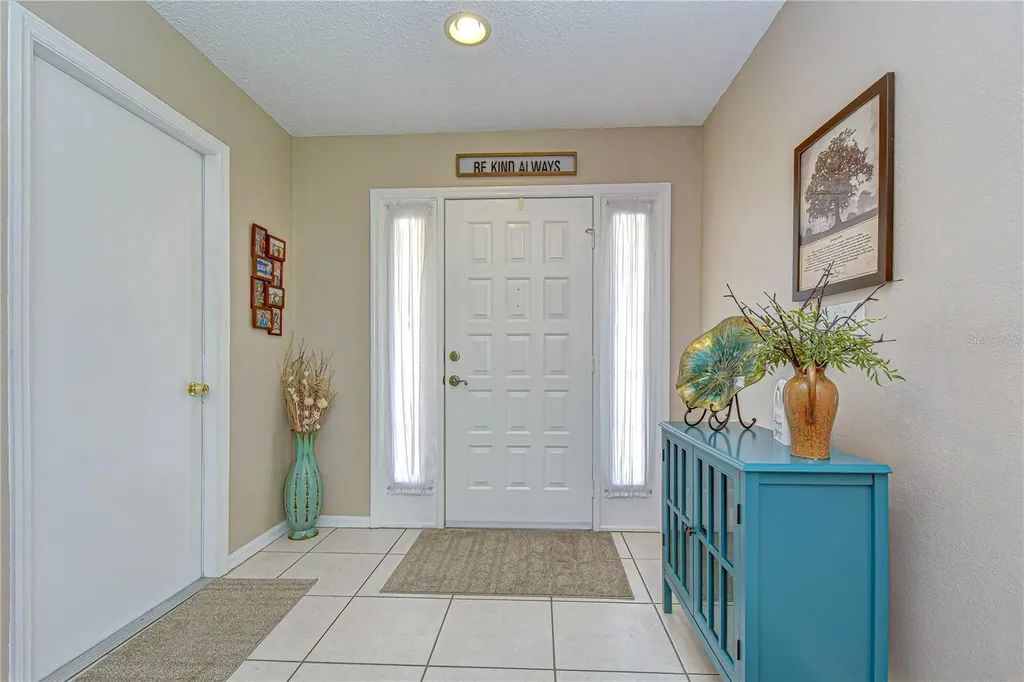 707 Orchard Isle Court Valrico FL 33594