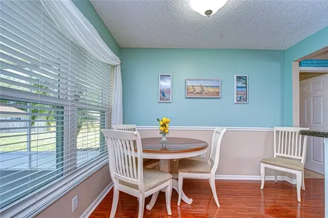 707 Orchard Isle Court Valrico FL 33594