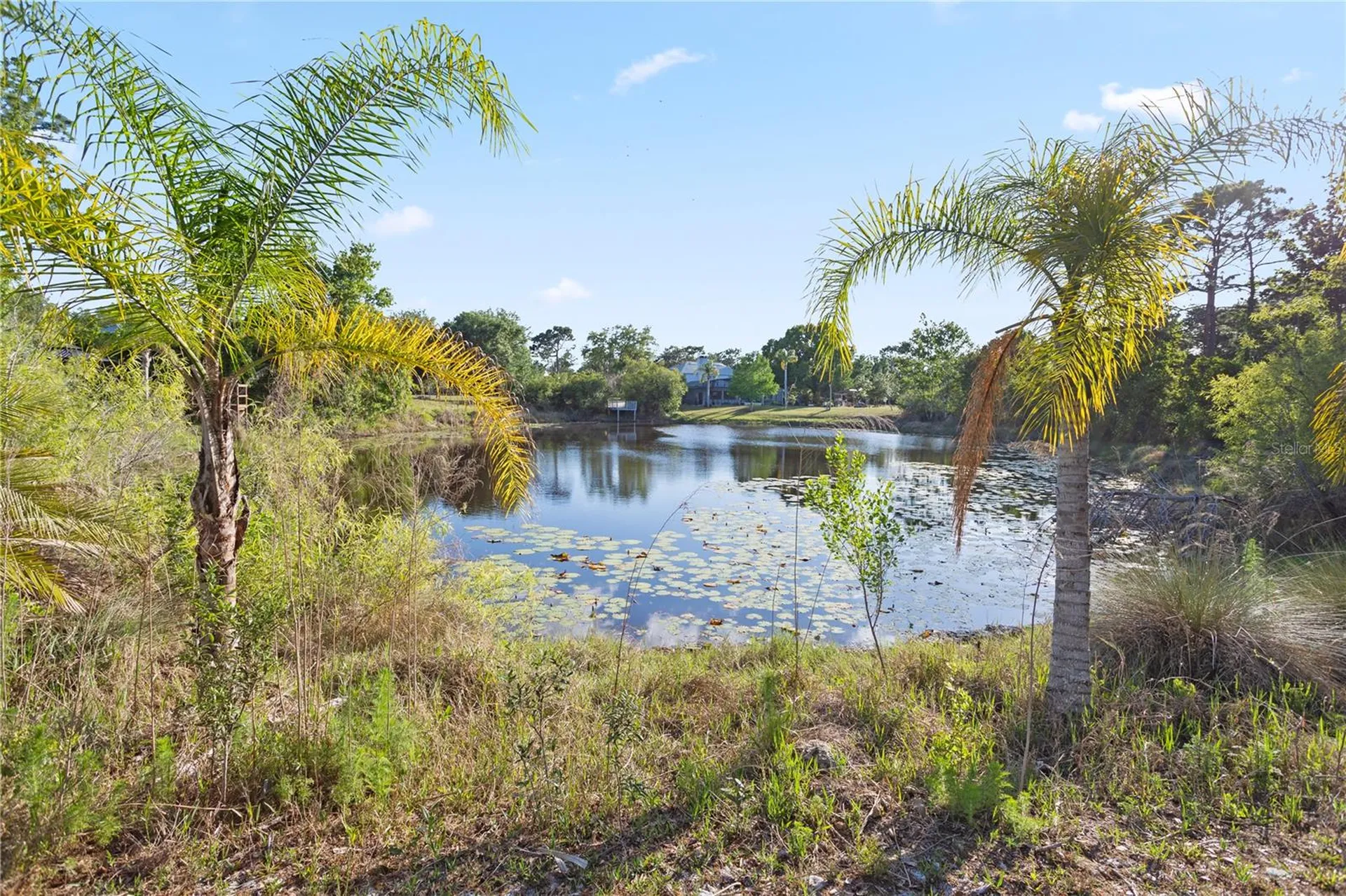 1140 Gallant Fox Way Chuluota FL 32766