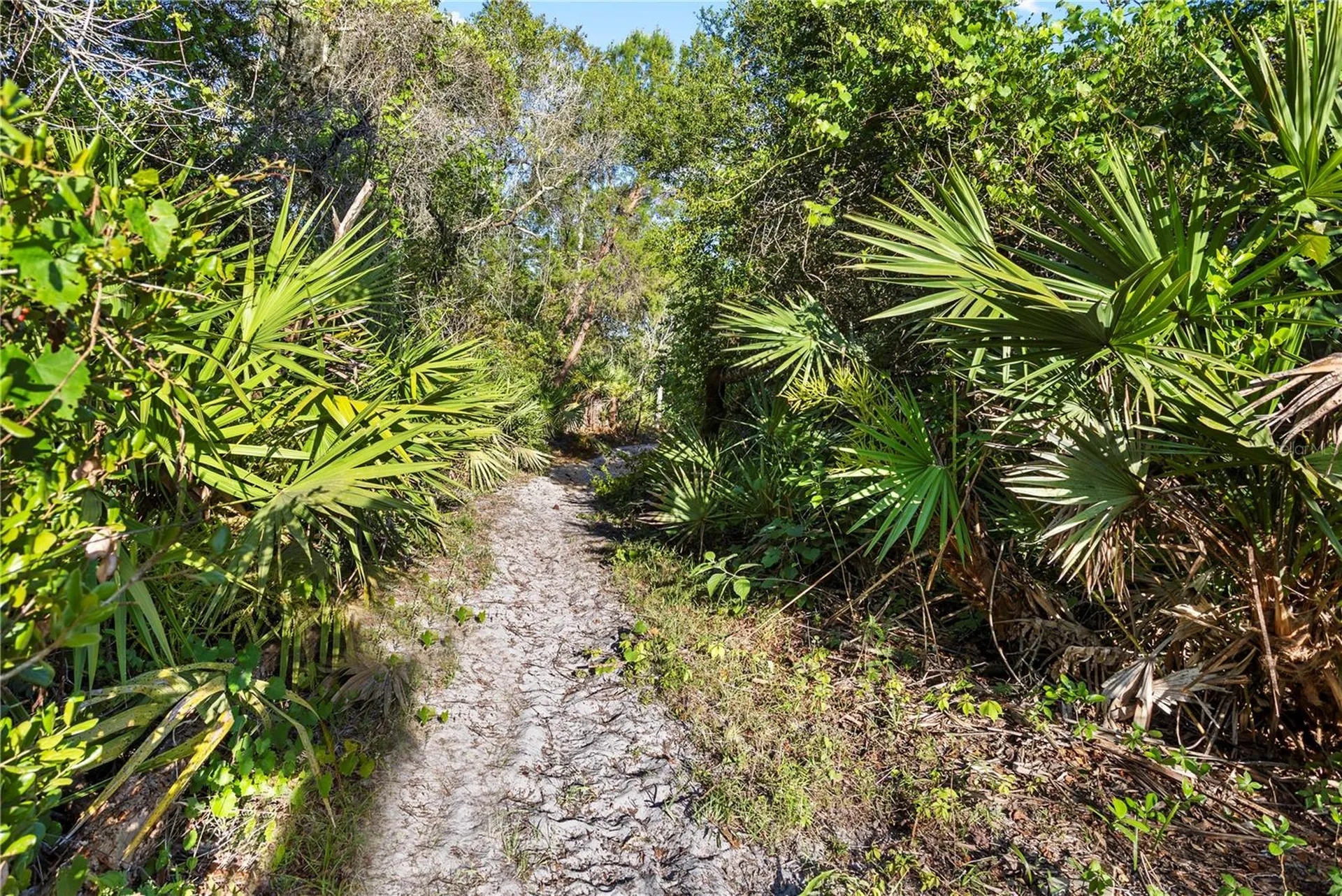 1140 Gallant Fox Way Chuluota FL 32766