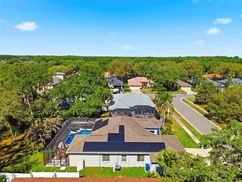 8530 Orsi Court Trinity FL 34655