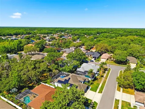 8530 Orsi Court Trinity FL 34655