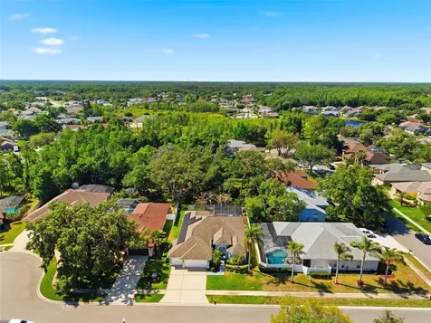 8530 Orsi Court Trinity FL 34655