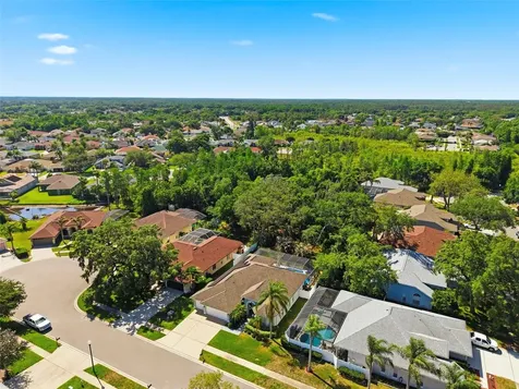 8530 Orsi Court Trinity FL 34655