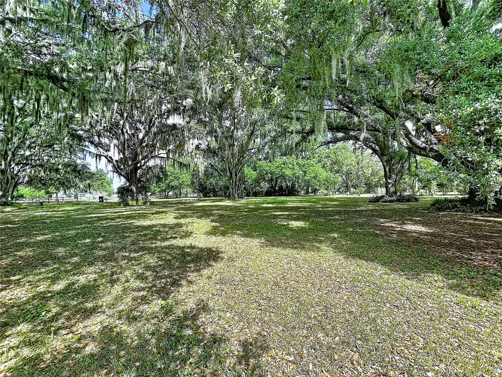 11008 Browning Road Lithia FL 33547