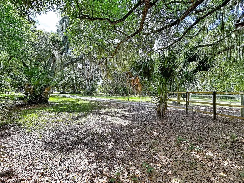 11008 Browning Road Lithia FL 33547