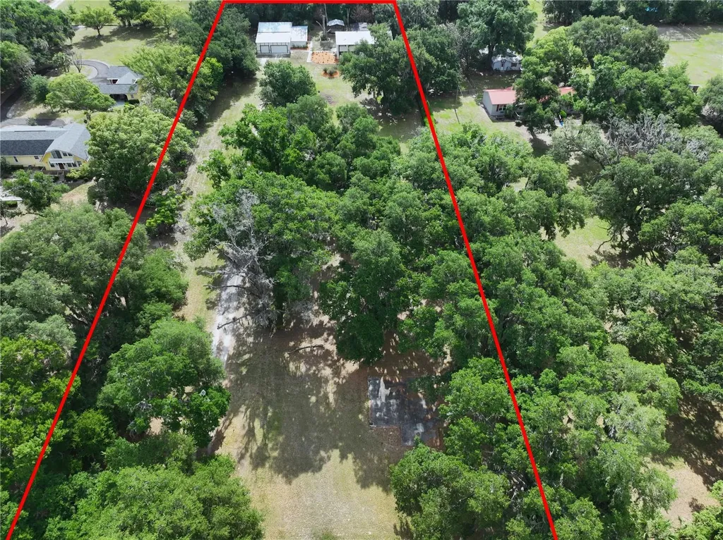 11008 Browning Road Lithia FL 33547