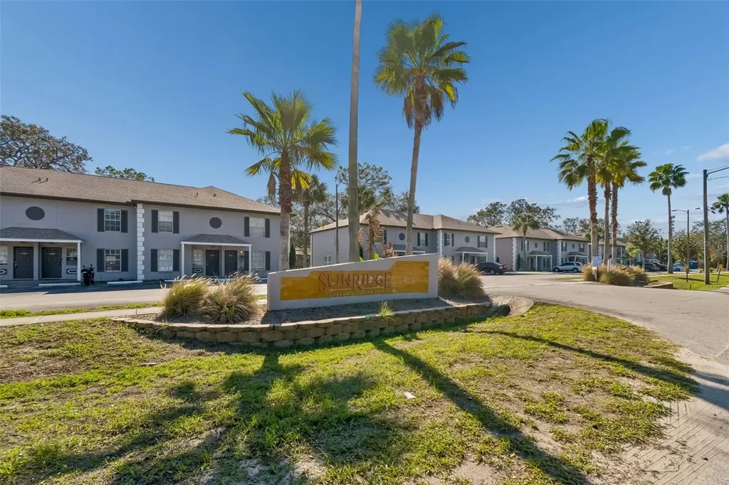 5156 Sunridge Palms Drive Tampa FL 33617